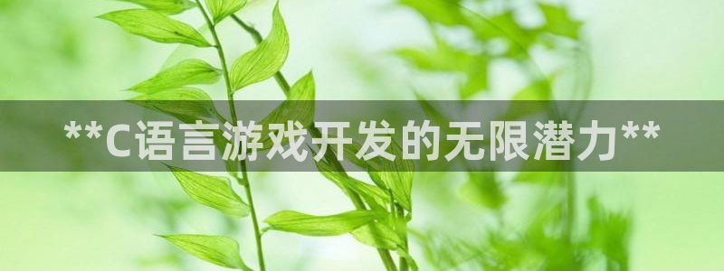 沐鸣2平台代理