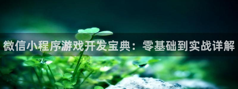 沐鸣2主管