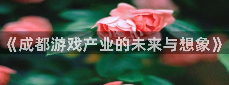 沐鸣2平台开户：《成都游戏产业的未来与想象》