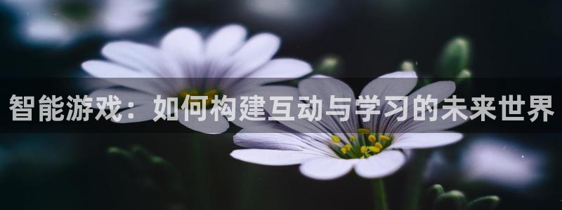 沐鸣2手机网页版