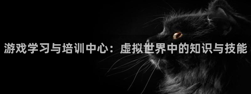 沐鸣娱乐臼44262：游戏学习与培训中心：虚拟世界中的知识与技能