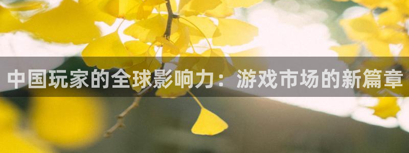 沐鸣娱乐2如何找回密码：中国玩家的全球影响力：游戏市场的新篇章