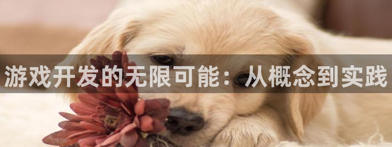 沐鸣2娱乐注册登录平台：游戏开发的无限可能：从概念到实践