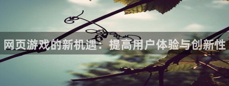 沐鸣2平台官方注册登录：网页游戏的新机遇：提高用户体验与创新性