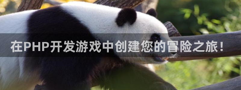 沐鸣娱乐臼44262：在PHP开发游戏中创建您的冒险之旅！