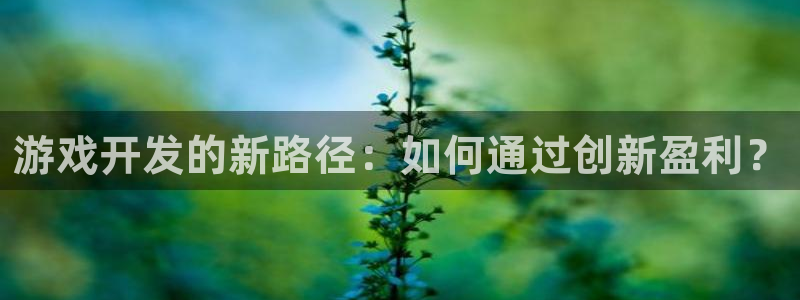 沐鸣娱乐2：游戏开发的新路径：如何通过创新盈利？