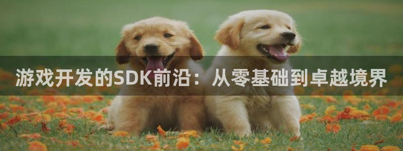 沐鸣娱乐2登录平台是什么软件：游戏开发的SDK前沿：从零基础到卓越境界