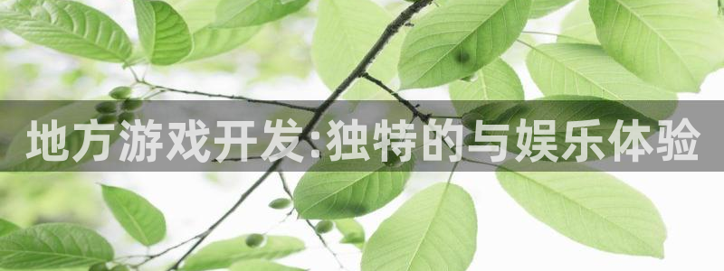 沐鸣娱乐2多彩平台：地方游戏开发:独特的与娱乐体验