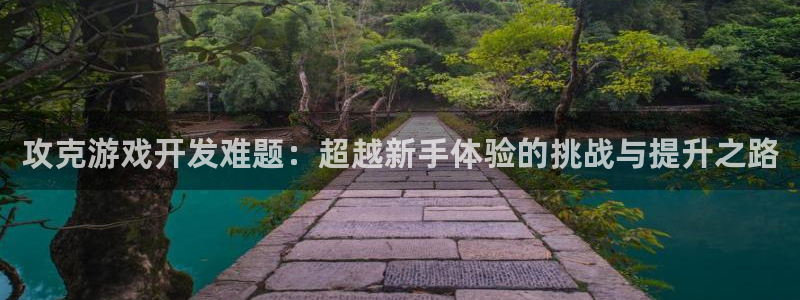 沐鸣2娱乐平台注册：攻克游戏开发难题：超越新手体验的挑战与提升之路