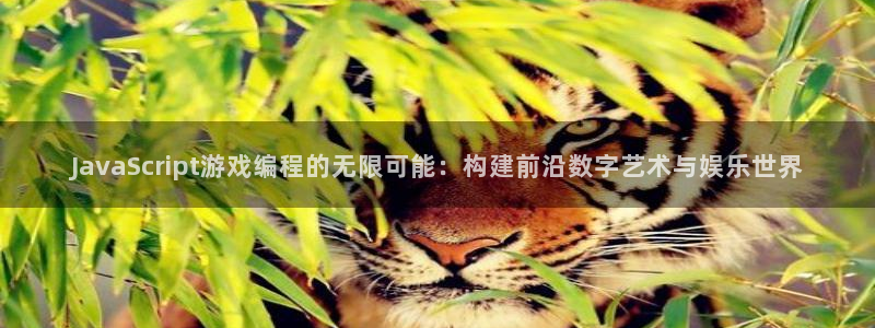 沐鸣娱乐2可靠吗：JavaScript游戏编程的无限可能：构建前沿数字艺术与娱乐世界