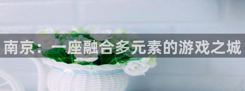 沐鸣2平台主管代理：南京：一座融合多元素的游戏之城