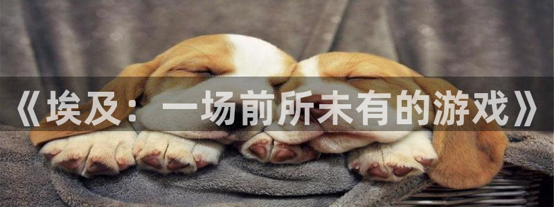 沐鸣2平台关7O777：《埃及：一场前所未有的游戏》