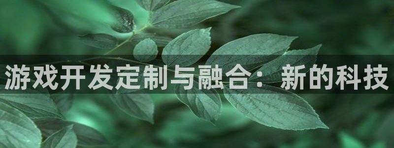 沐鸣2官网 5O6917：游戏开发定制与融合：新的科技