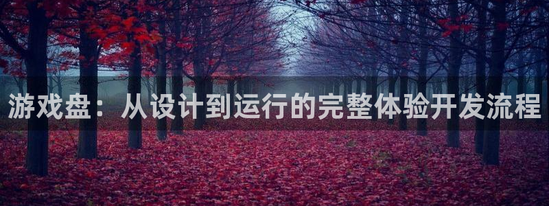 沐鸣2登录地址：游戏盘：从设计到运行的完整体验开发流程