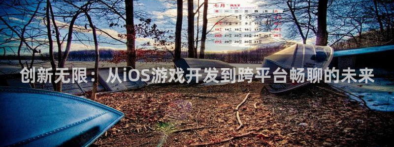 沐鸣娱乐2上来77542：创新无限：从iOS游戏开发到跨平台畅聊的未来