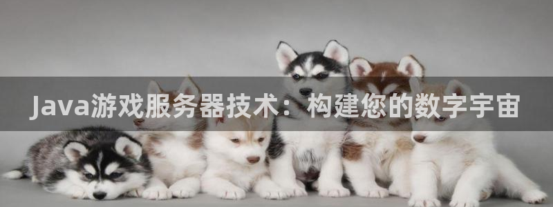 沐鸣2平台官网登录