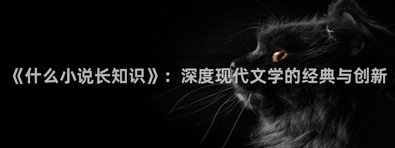 宝书网下载cc