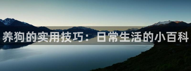 女配不掺和txt宝书网