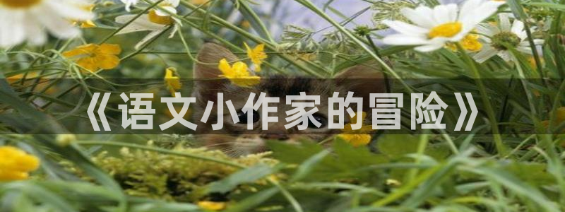 手机宝书网电子书下载
