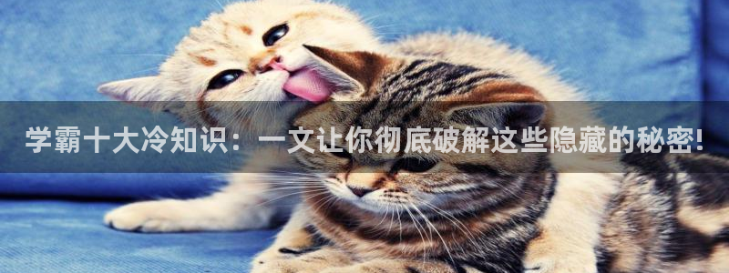 宝书网txt电子书下载网站